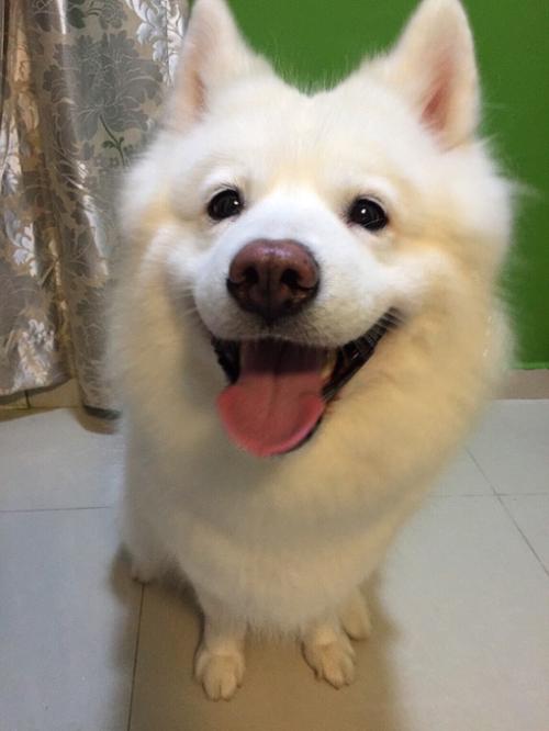 ͻƣйͱ׼ֱ7.7%11.3%