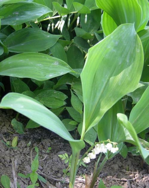 “天价律师费”绝不是工伤赔偿难的“对症药”