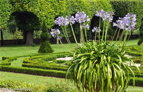 ɽ̨ոְѧת취תÿ 11ʩ