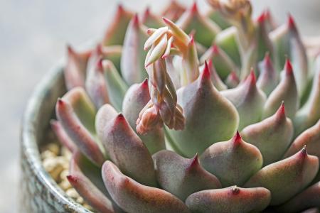 ǩԼĿ ͶԼ7.65ڽΪڽ