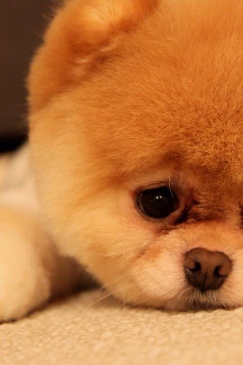 ӡȶس̨ʩϿף ǿ