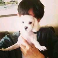 APPѹرգҪûһ˵Ļᡱ